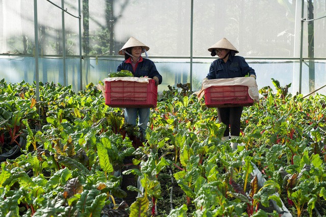 Bí quyết mang lại bữa ăn an toàn cho gia đình - Ảnh 2.