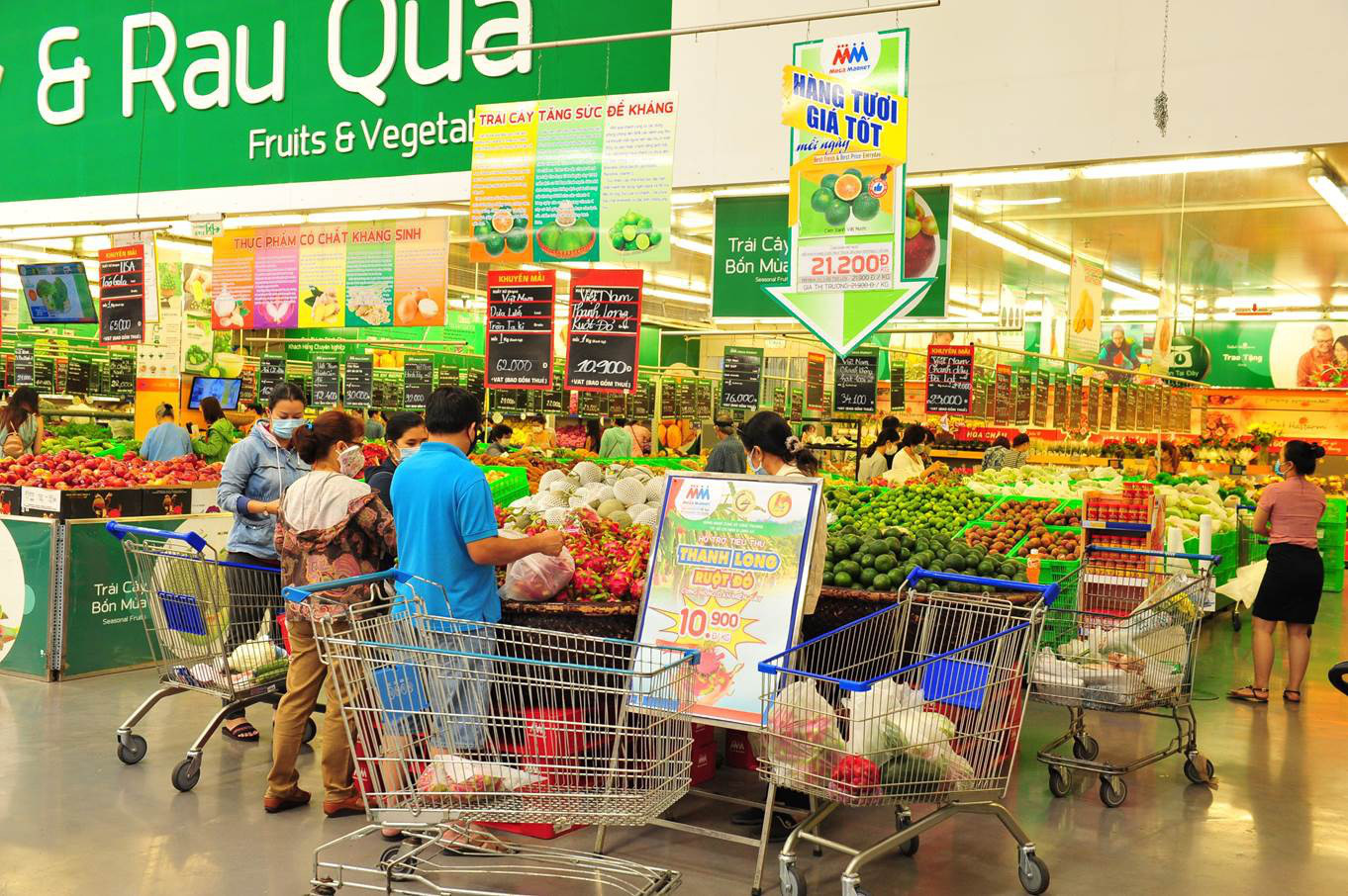 MM hỗ trợ nông dân tiêu thụ thanh long ruột đỏ và dưa hấu - Ảnh 1.
