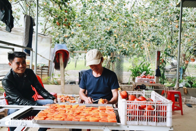 Cận ảnh vườn hồng trĩu quả ở Đà Lạt cho khách vào thoải mái và cách làm hồng khô đượm mật vàng óng mà không phải ai cũng biết - Ảnh 10.