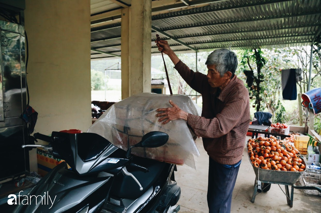 Cận ảnh vườn hồng trĩu quả ở Đà Lạt cho khách vào thoải mái và cách làm hồng khô đượm mật vàng óng mà không phải ai cũng biết - Ảnh 17.