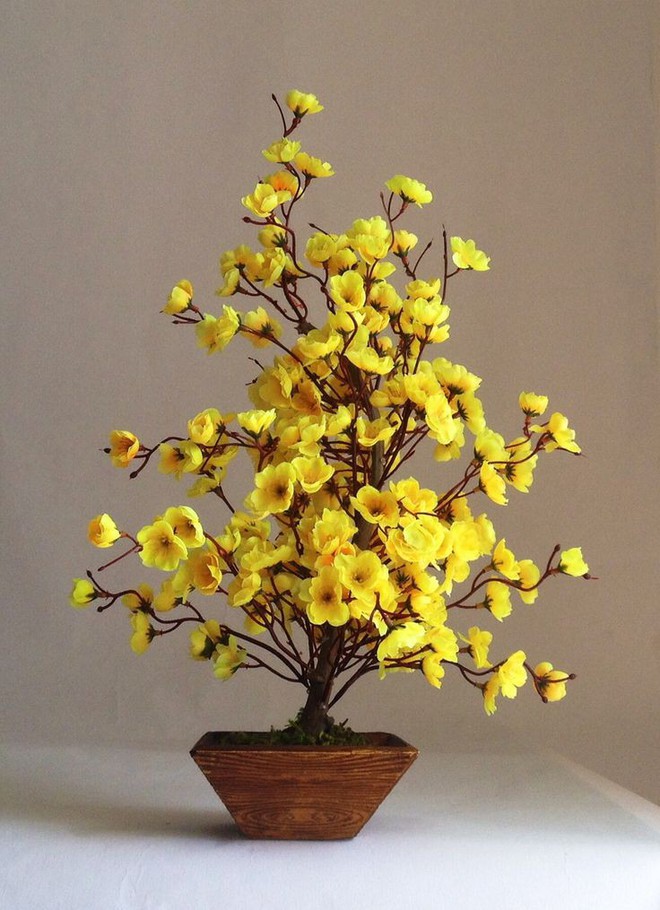 Ngất ngây với 15 chậu hoa bonsai mini siêu đẹp để trang trí nhà dịp Tết - Ảnh 4.