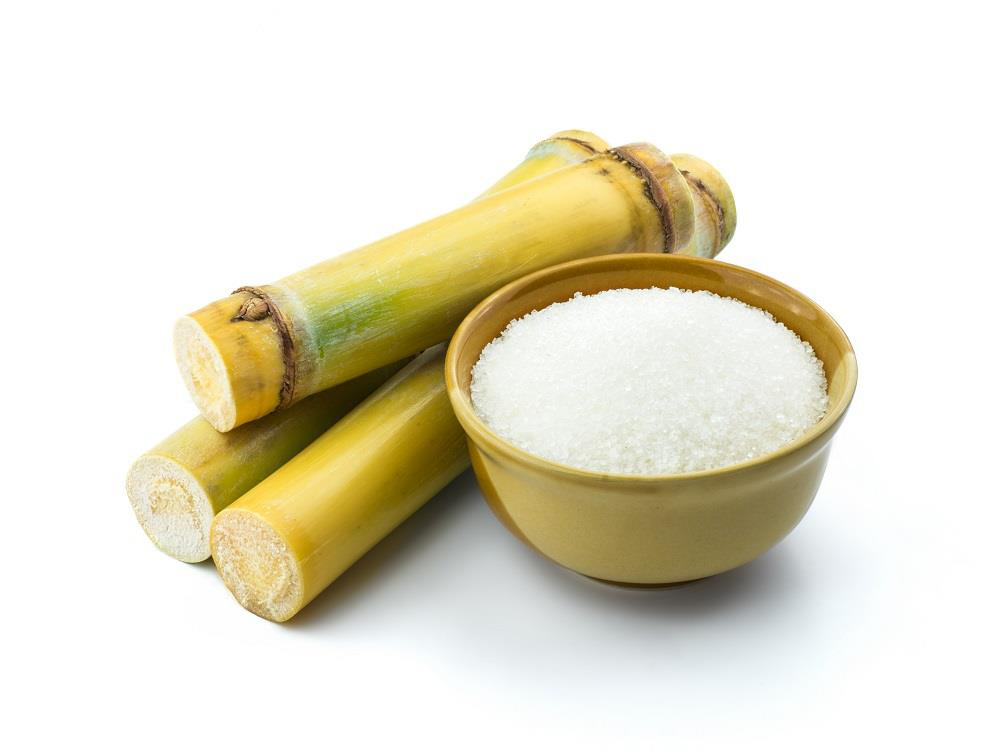 Bảo vệ gia đình - Hãy bắt đầu từ việc chọn đường sạch! - Ảnh 2.