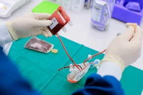 Liệu pháp tế bào gốc: “Cửa sống” cho các bệnh nan y - Ảnh 3.