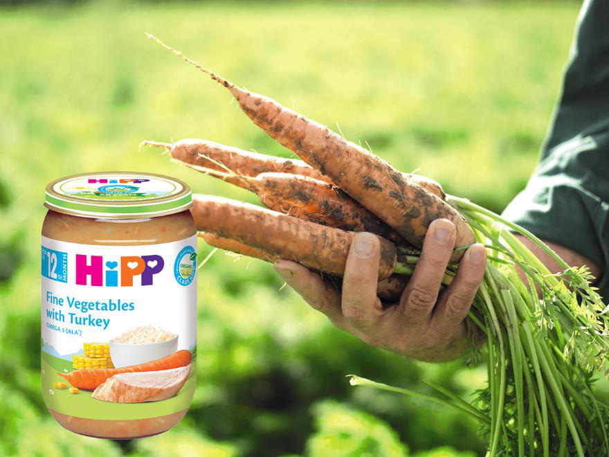 Chuyện củ cà rốt hữu cơ (organic):  món ăn dặm đầu tiên phổ biến của trẻ em Châu Âu - Ảnh 6.