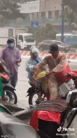 Trong cơn mưa gió chú chó được chủ sắm cho chiếc áo mưa, hành động sau đó nhanh chóng "hút" nửa triệu người quan tâm - Ảnh 1.