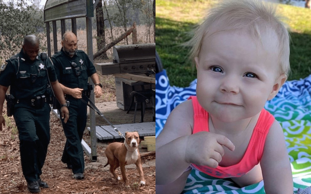 Bé trai 3 tuổi mất tích, cảnh sát nhận được tin báo về sự xuất hiện của đứa trẻ với con thú dữ, cuối cùng ai cũng phải biết ơn con vật