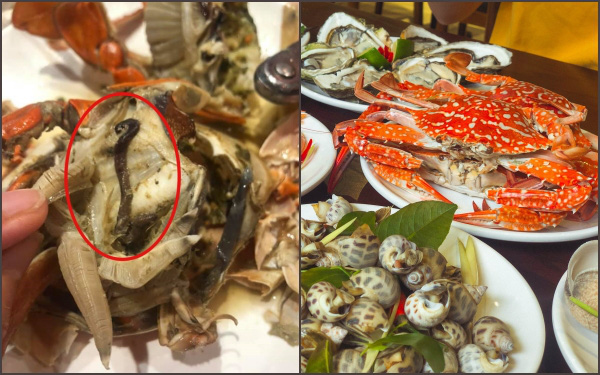 Bỏ hơn 1 triệu ăn buffet hải sản ở nhà hàng nổi tiếng Hà Nội, thực khách bất ngờ phát hiện &quot;cua có giun&quot; nhưng câu trả lời từ nhà hàng lại là thứ kỳ lạ khác?!?