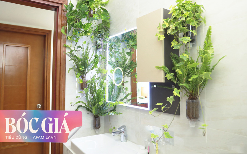 Biến hình phòng tắm đúng chuẩn hội &quot;nghiện nhà yêu cây&quot; từ những đồ nội thất nhà nào cũng có của cô gái Hà Nội 