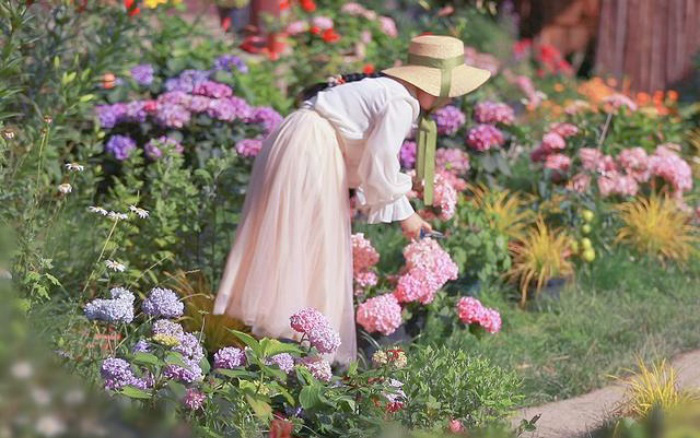 Cô gái trẻ bỏ phố về sống những ngày đẹp như mộng khi cải tạo mảnh đất trên núi thành khu vườn ngập tràn sắc hoa