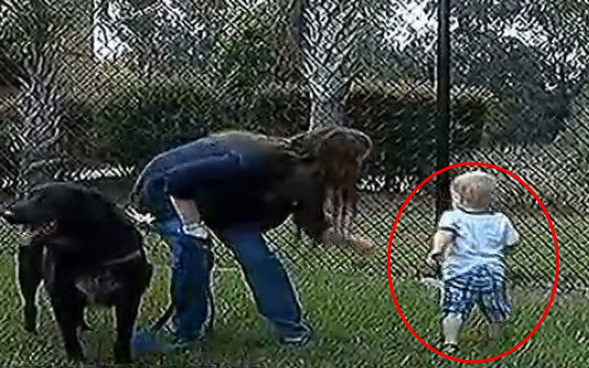 Chó cưng hành xử kỳ lạ mỗi khi ở bên cạnh con trai 7 tháng tuổi, bố mẹ lắp camera liền báo cảnh sát bắt giữ bảo mẫu