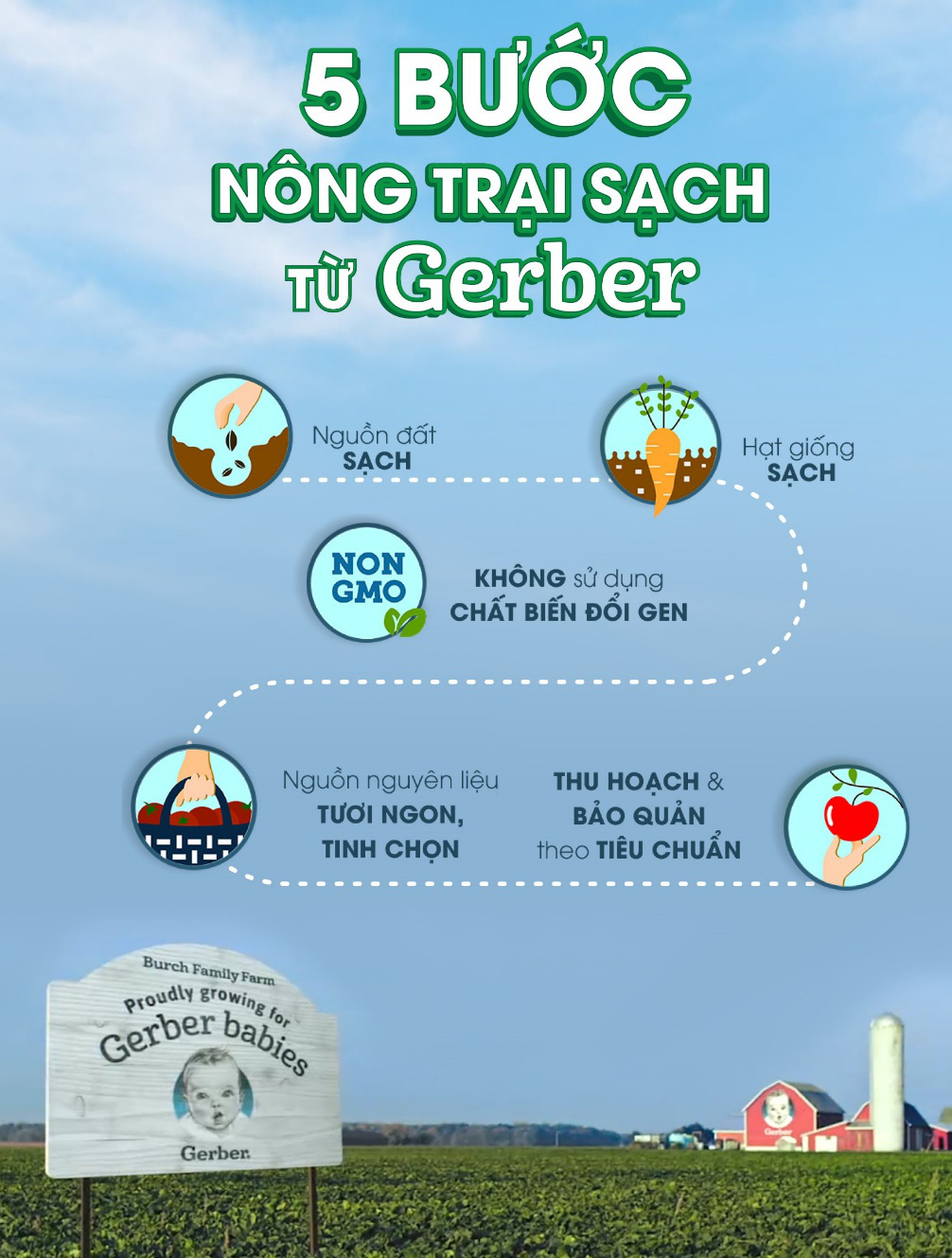 Giải mã vì sao Doanh nhân Thái Vân Linh và MC Minh Trang chọn thực phẩm organic là dinh dưỡng tối ưu cho con - Ảnh 4.