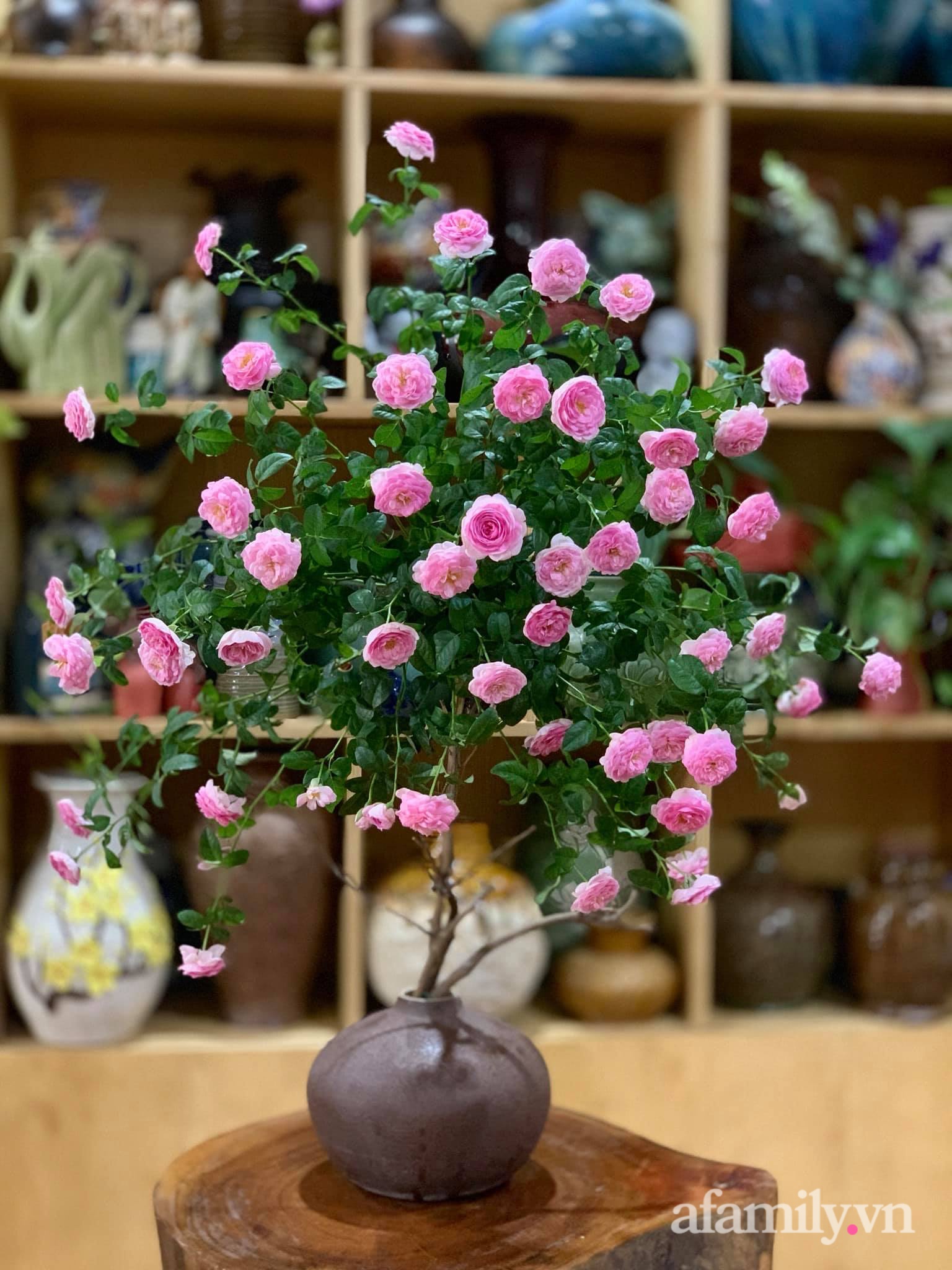 Chọn hồng cắt cành, người phụ nữ Hà Thành cắm kiểu tree rose đẹp duyên dáng không thể rời mắt - Ảnh 13.