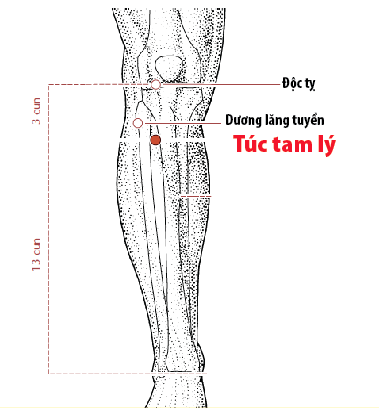 Không cần tập thể dục cũng chẳng phải nhịn ăn, chỉ cần bấm 2 điểm vàng này đều đặn, cân nặng tức khắc phải giảm ngay! - Ảnh 3.