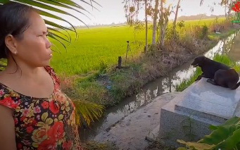 Kỳ lạ chuyện chú chó ở miền Tây quấn quýt bên mộ chủ suốt 3 năm không rời: &quot;Ai cho nó đồ ăn nó cũng đem ra để trước mộ, trừ khi mưa thôi còn nắng ráo là cứ nằm đó&quot;