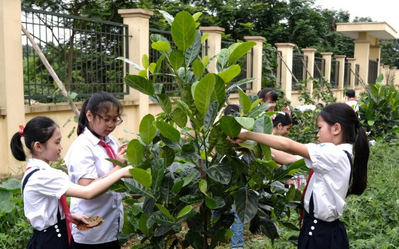 Cộng đồng mạng thi nhau kể chuyện cây xanh và câu chuyện về một chiến dịch ý nghĩa