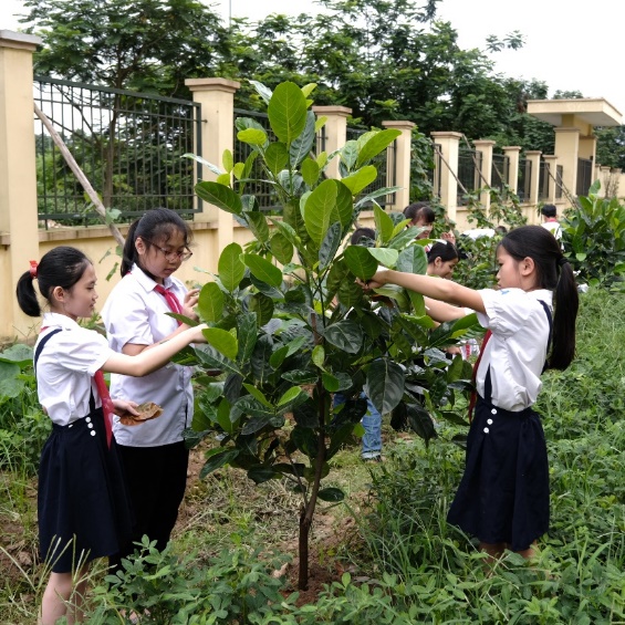 Cộng đồng mạng thi nhau kể chuyện cây xanh và câu chuyện về một chiến dịch ý nghĩa - Ảnh 1.