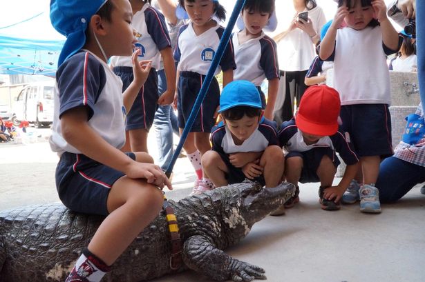 "Tình thương mù quáng" của người đàn ông dành cho con cá sấu cưng suốt gần 40 năm, con vật tấn công con trai cũng chọn tha thứ cho nó - Ảnh 6.