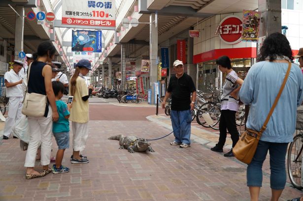 "Tình thương mù quáng" của người đàn ông dành cho con cá sấu cưng suốt gần 40 năm, con vật tấn công con trai cũng chọn tha thứ cho nó - Ảnh 5.
