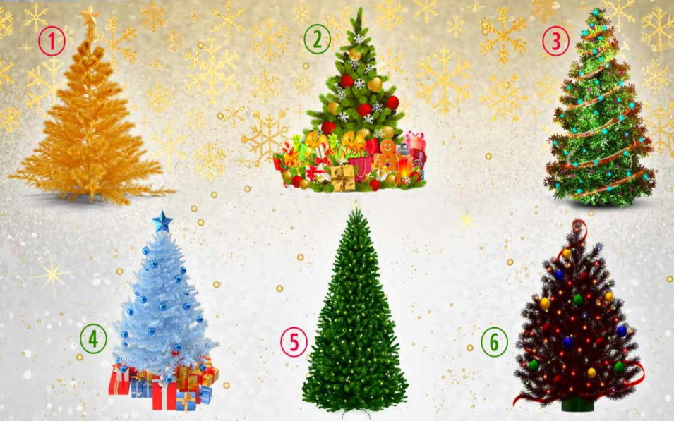 Chọn cây thông Noel mà bạn yêu thích nhất và khám phá bản chất con người thực sự của bạn