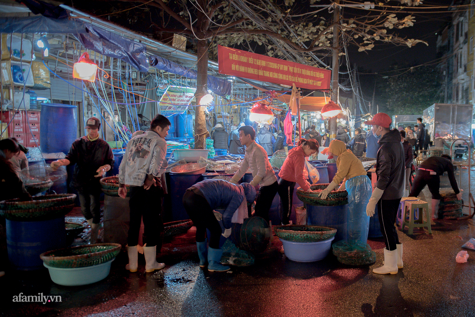 Những bàn tay sục trong đá lạnh giữa đêm Hà Nội 12 độ - Ảnh 2.