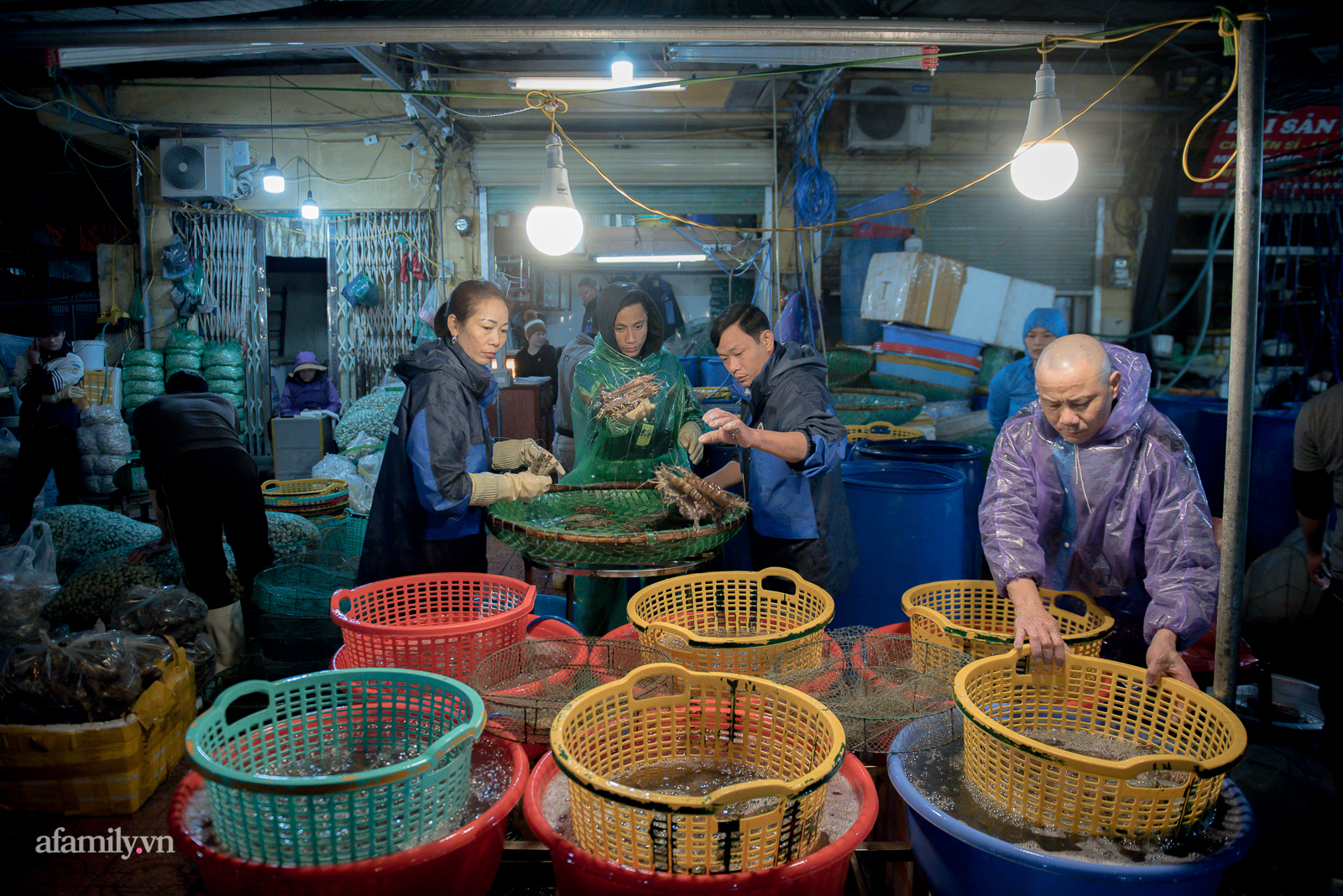 Những bàn tay sục trong đá lạnh giữa đêm Hà Nội 12 độ - Ảnh 8.