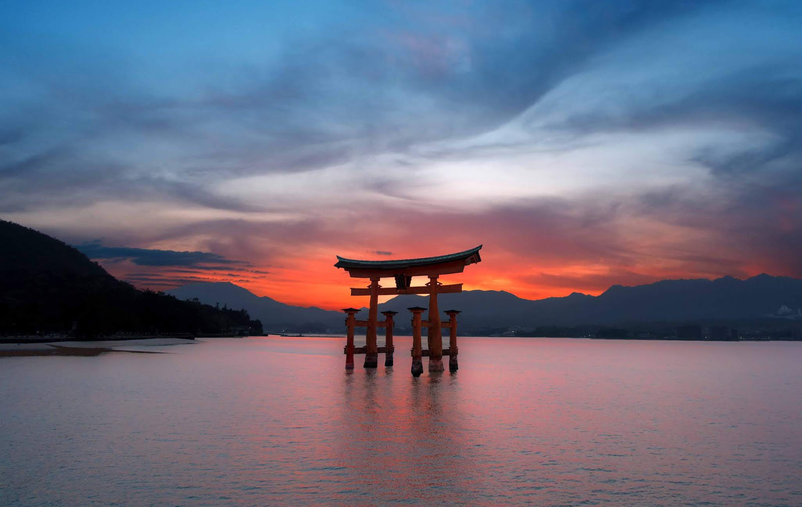 Kami – Năng lực sáng tạo từ thiên nhiên của nghệ nhân Nhật Bản - Ảnh 1.