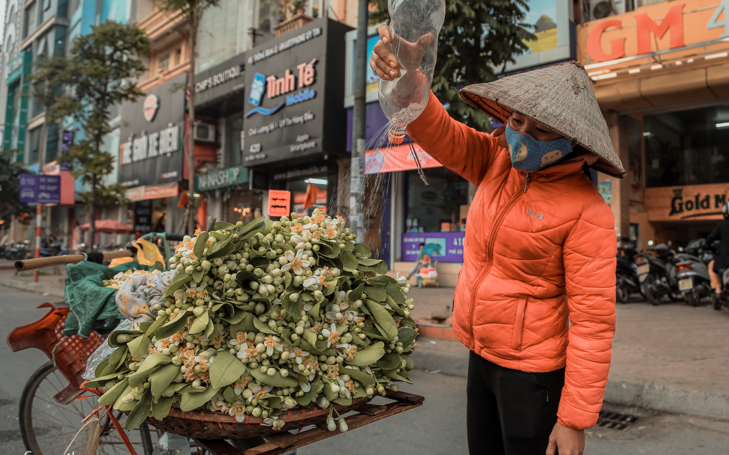 Chùm ảnh: Mùa hoa bưởi đã tỏa hương khắp đường phố Hà Nội, nhìn thấy lòng ai cũng xao xuyến, nhất định phải mang về mới thôi