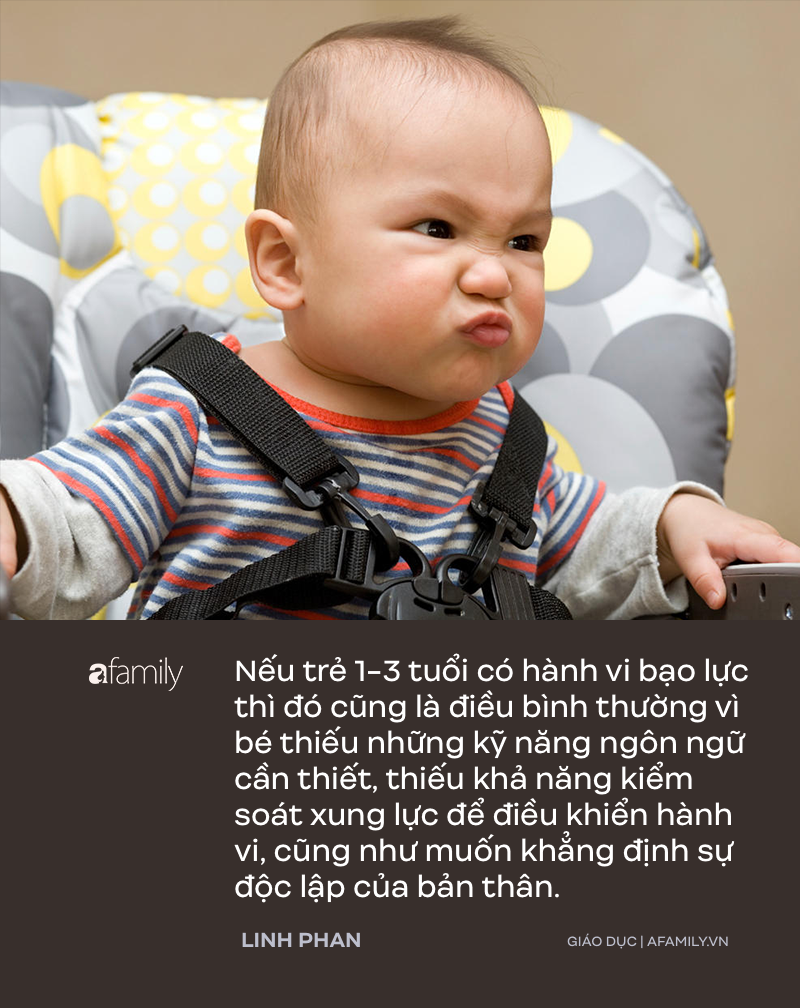 Trẻ 1-3 tuổi rất hay đánh người, parent coach Linh Phan lý giải 9 nguyên nhân của hành vi bạo lực này - Ảnh 3.
