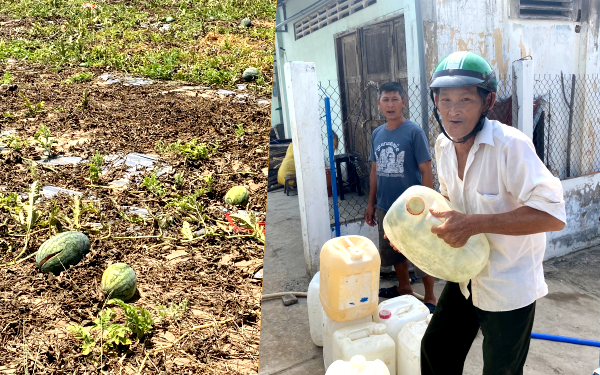 Khổ như người miền Tây mùa hạn mặn: Súc miệng không cần kem vì xung quanh toàn… “nước muối”, mỏi mòn chờ trời làm mưa