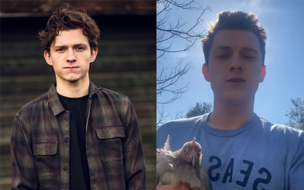 Ngã ngửa trước cách tích trữ lương thực của &quot;Người Nhện&quot; Tom Holland giữa mùa dịch