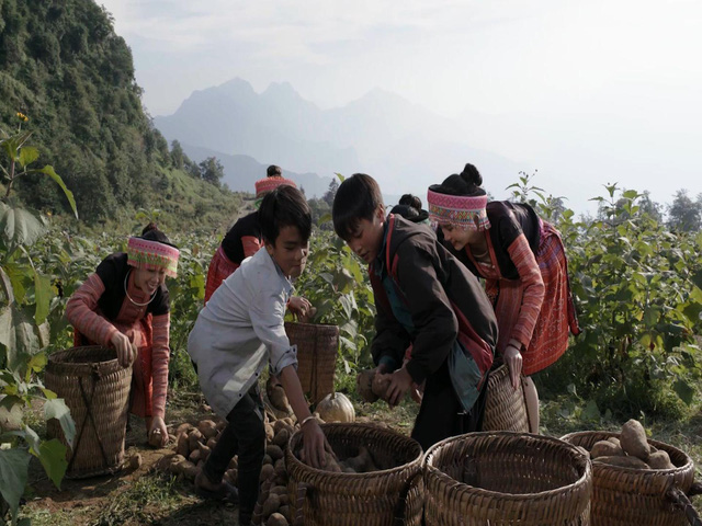 Nước giải khát cho người cao tuổi: Phân khúc thị trường bị bỏ quên - Ảnh 3.