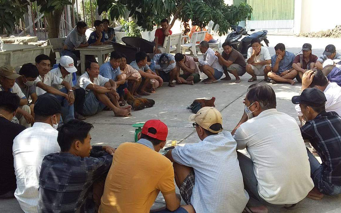 Bắt giữ 32 đối tượng đối tượng đá gà ăn tiền, thu giữ gần 75 triệu đồng