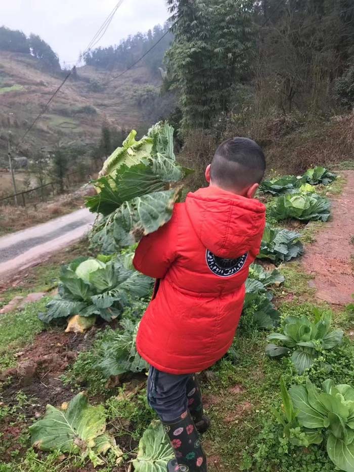 Cậu bé 8 tuổi được bố dạy làm vườn và nấu ăn thành thục trong kỳ nghỉ học vì Covid-19 - Ảnh 3.