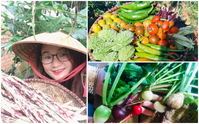 Vườn rau quả tốt tươi đủ loại giúp cả nhà quanh năm được thưởng thức đồ sạch ở Lâm Đồng