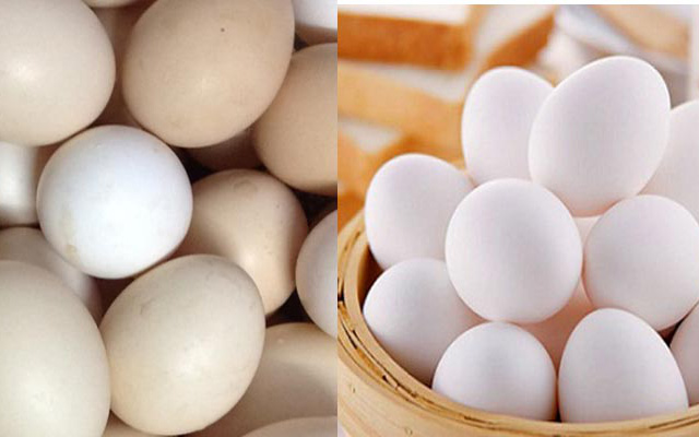 Người bán trứng lâu năm tiết lộ 5 mẹo giúp bà nội trợ Việt chọn chuẩn trứng gà ta, không bao giờ nhầm lẫn với trứng gà công nghiệp