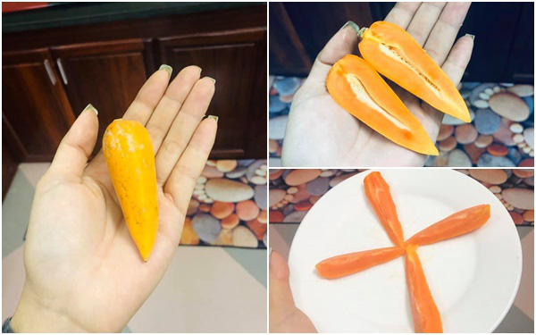 Mẹ trẻ tự trồng cây đu đủ để ăn, đến khi thu hoạch nhận về &quot;củ cà rốt&quot; hoành tráng phát khóc, to đúng bằng nửa nắm tay