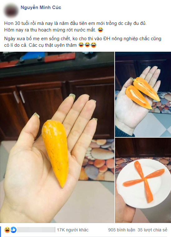 Mẹ trẻ tự trồng cây đu đủ để ăn, đến khi thu hoạch nhận về "củ cà rốt" hoành tráng phát khóc, to đúng bằng... nửa nắm tay - Ảnh 1.