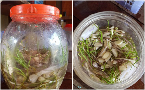 Hì hục làm hành muối ngâm 7 ngày 7 đêm như &quot;luyện đan&quot;, anh chồng trẻ sững sờ khi lọ hành mọc cả mầm lẫn rễ