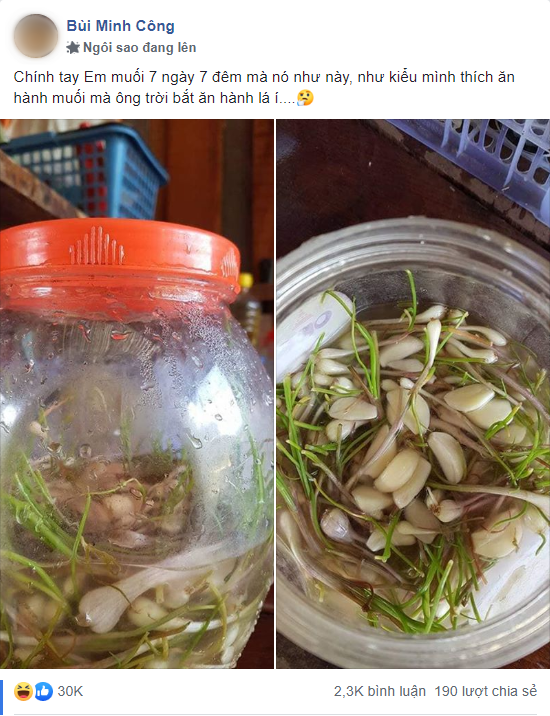 Hì hục làm hành muối ngâm 7 ngày 7 đêm như "luyện đan", anh chồng trẻ sững sờ khi lọ hành mọc cả mầm lẫn rễ - Ảnh 1.