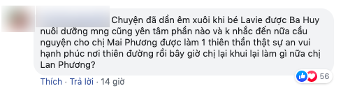 Lan Phương lên tiếng bênh vực mẹ cố diễn viên Mai Phương sau đoạn video ồn ào: Người mẹ phản ứng quá khích là có nguyên nhân, không có lửa làm sao có khói - Ảnh 8.