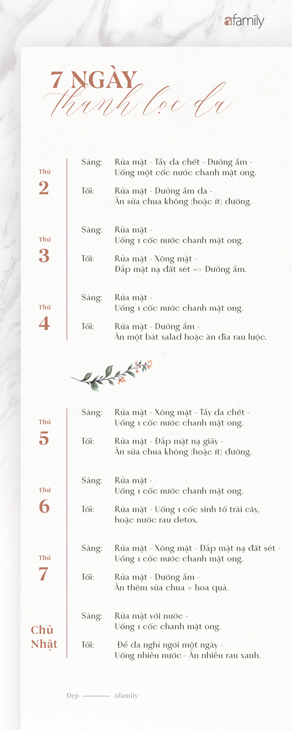 "Thời khóa biểu" thanh lọc làn da trong 2 tuần ở nhà để da dẻ trắng sáng, căng mịn như da em bé  - Ảnh 2.