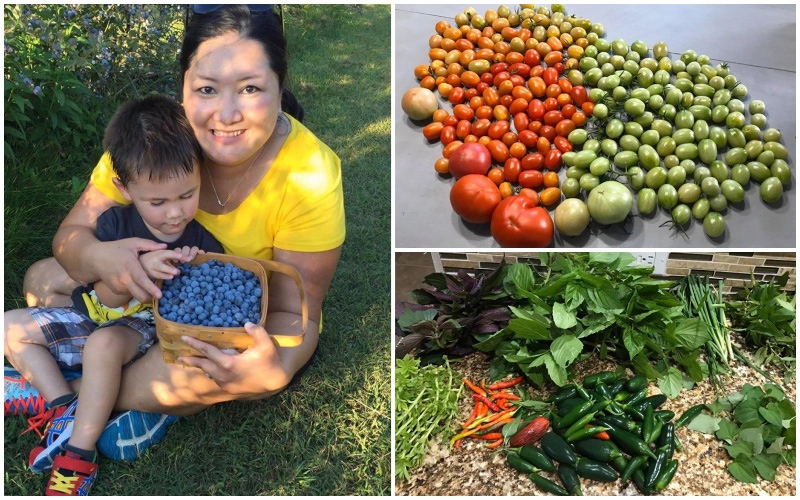 Bận rộn kinh doanh, mẹ Việt vẫn sưu tầm hạt giống để trồng cả khu vườn đủ loại hoa trái