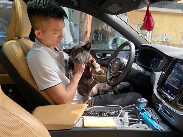 Nguyễn Văn Dúi chắc chắn là một tài xế khá đặc biệt. Và nếu bạn muốn bước vào thế giới của anh ấy, bạn nên xem những hình ảnh về chó lái xe của anh ấy. Đó là một kỳ tích thực sự.