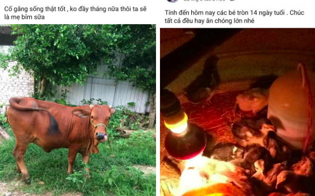 Cô gái khoe "niềm vui tuổi già" khi mẹ dùng Facebook, đặc biệt nhất là nội dung những bài đăng của mẹ