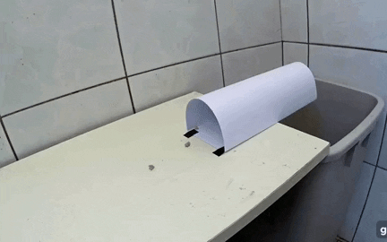 Chỉ với thứ nhà nào cũng có này, bạn có thể khiến lũ chuột tự động &quot;xin chết&quot;