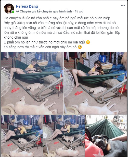  - Ảnh 1.
