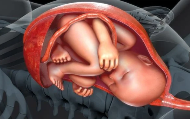 Đây là kiểu ngôi thai phổ biến nhất và dễ sinh thường, các mẹ bầu đã biết chưa