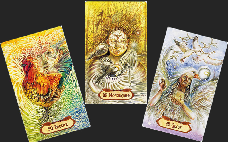 Bốc bài Oracle để biết tháng tới ai sẽ xuất hiện giúp đỡ bạn trong công việc