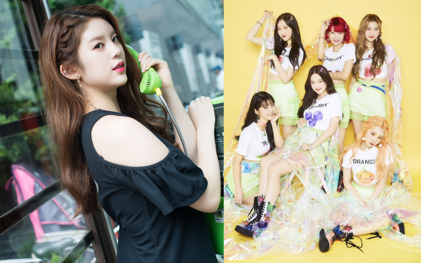 Thành viên MOMOLAND từng tố Nancy và các thành viên gian lận, giả tạo chính thức bị xóa sổ, netizen mỉa mai chê cười nhóm