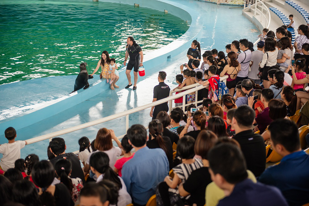 Giới hạn 1000 vé bán ra trong ngày đầu tiên mở cửa trở lại Công viên biển Hà Nội - Ảnh 1.